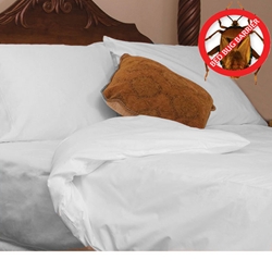 Allergy Control® Pristine COMPLETE Comforter Encasings