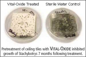 Ceiling Tiles treated with Vital-Oxide